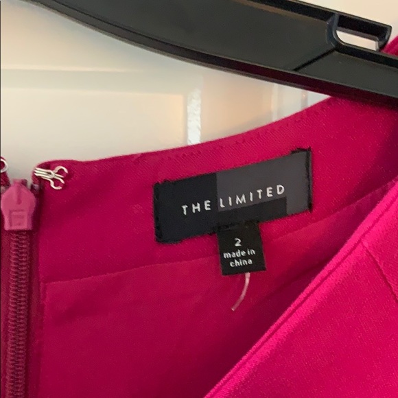 The Limited Raspberry size 2 dress - Picture 2 of 3